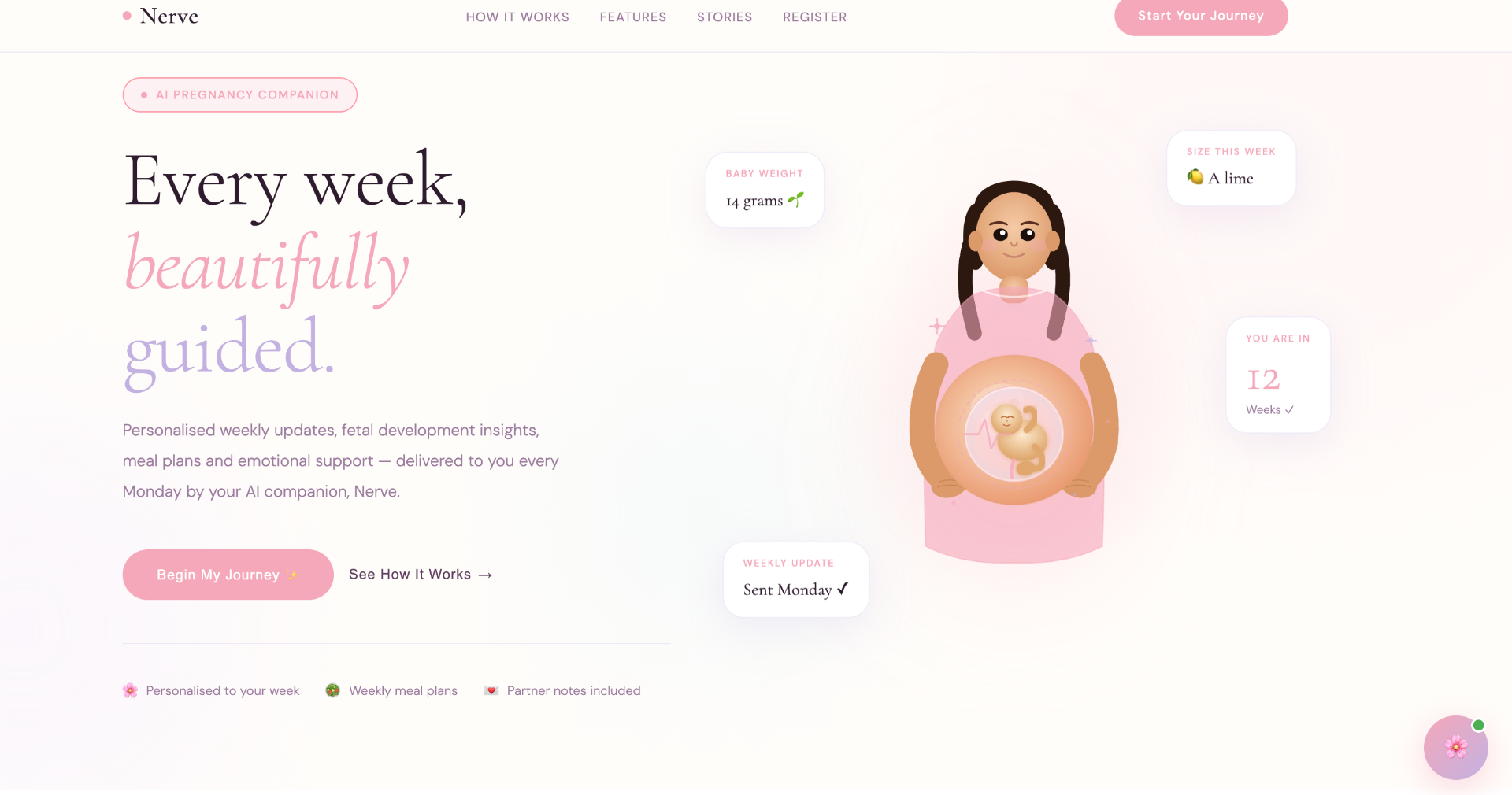 Pregnancy Journey Companion